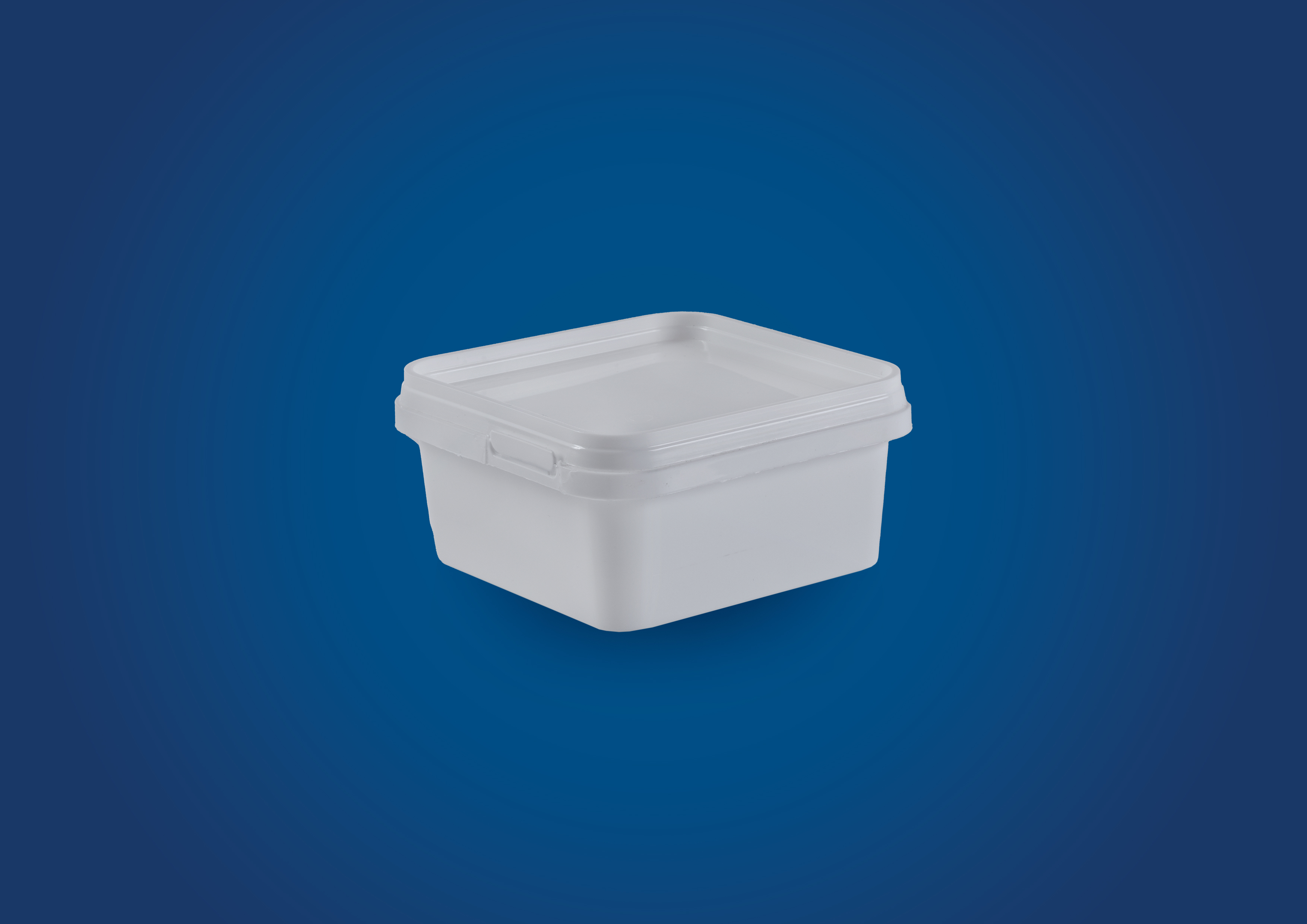 list item image