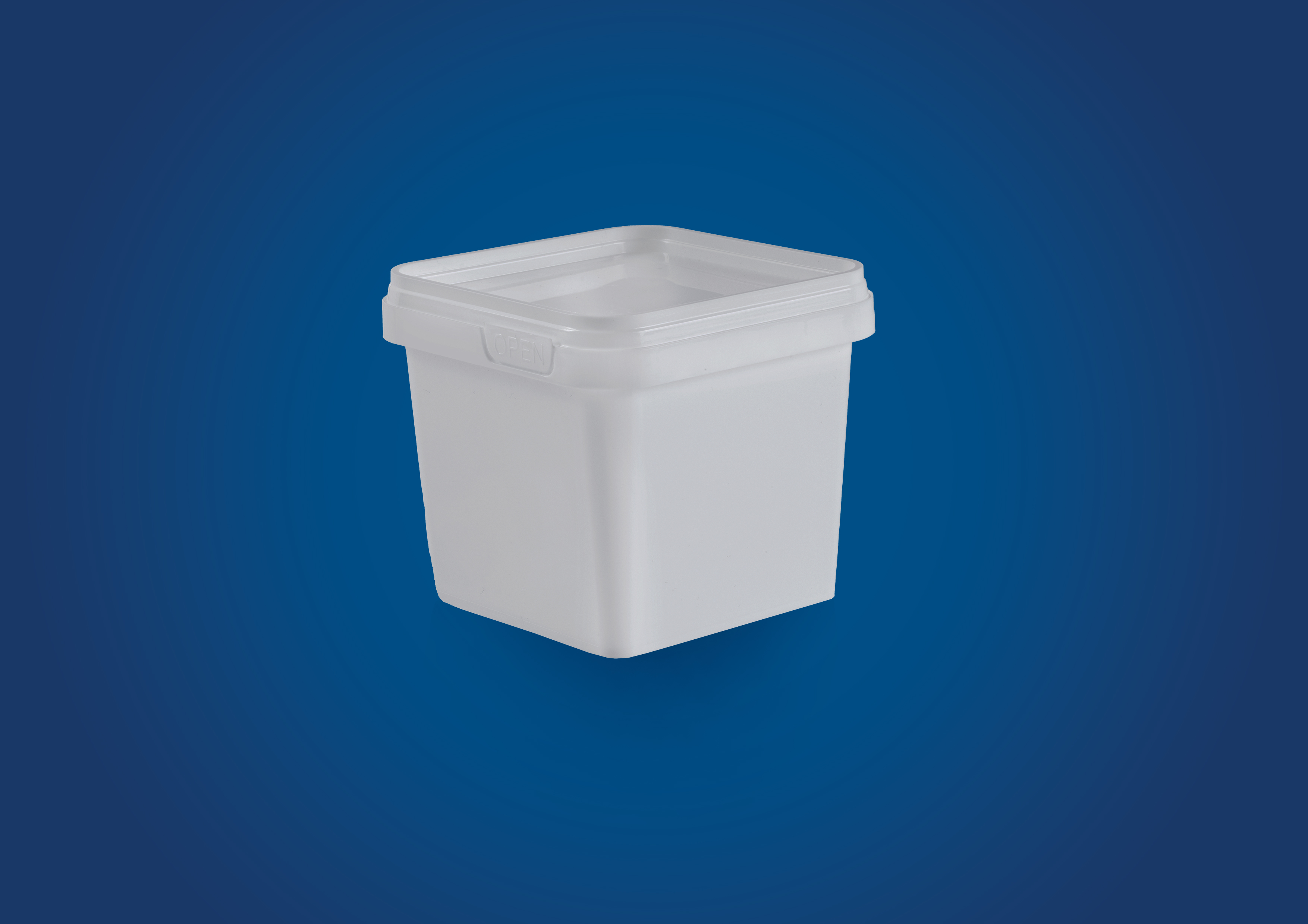 list item image